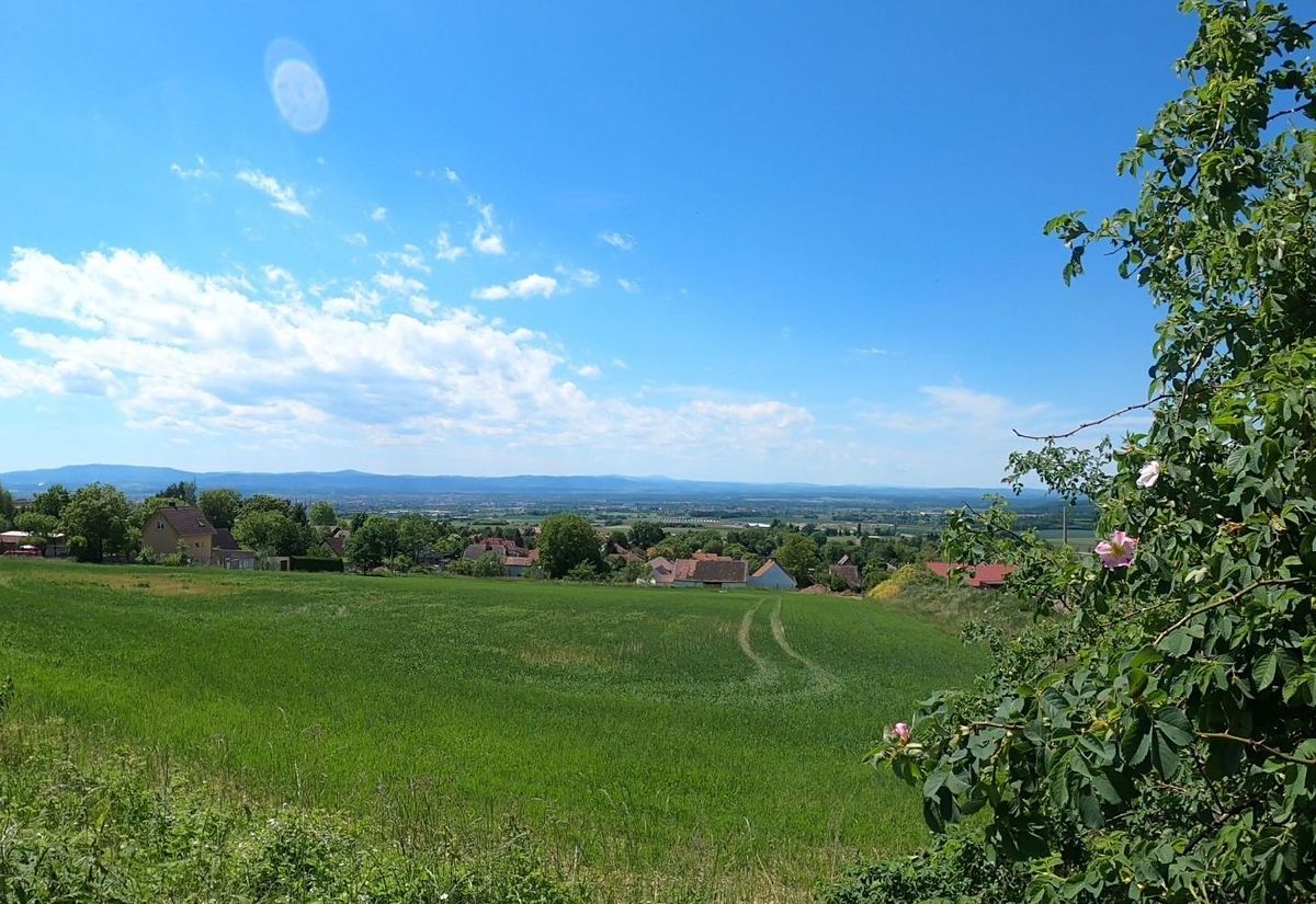 Prodej stavebního pozemku 847 m² – fotografie 3