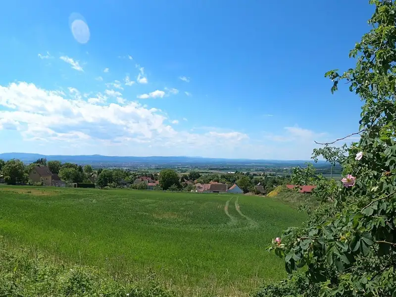 Prodej stavebního pozemku 847 m², České Budějovice – náhled fotky 3