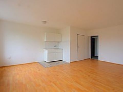 Pronájem bytu 1+1 35 m² – fotografie 3