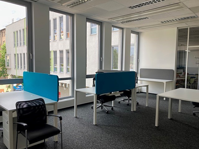 Pronájem komerčního prostoru, 590 m² (6 z 16)