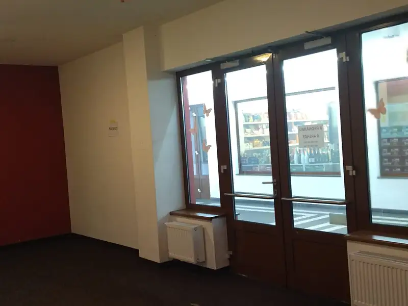 Prodej obchodního prostoru 30 m², Karlovy Vary – náhled fotky 3