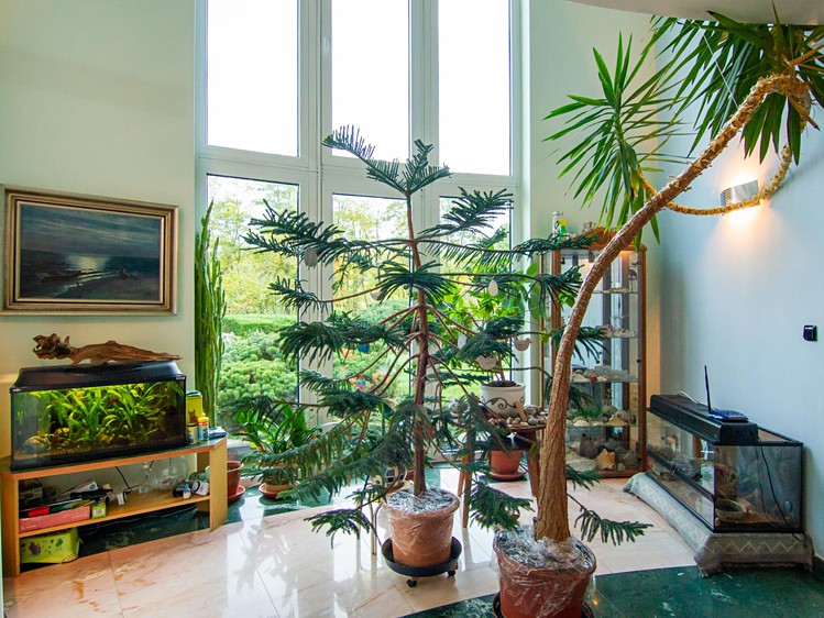 Prodej domu, 807 m² (7 z 19)