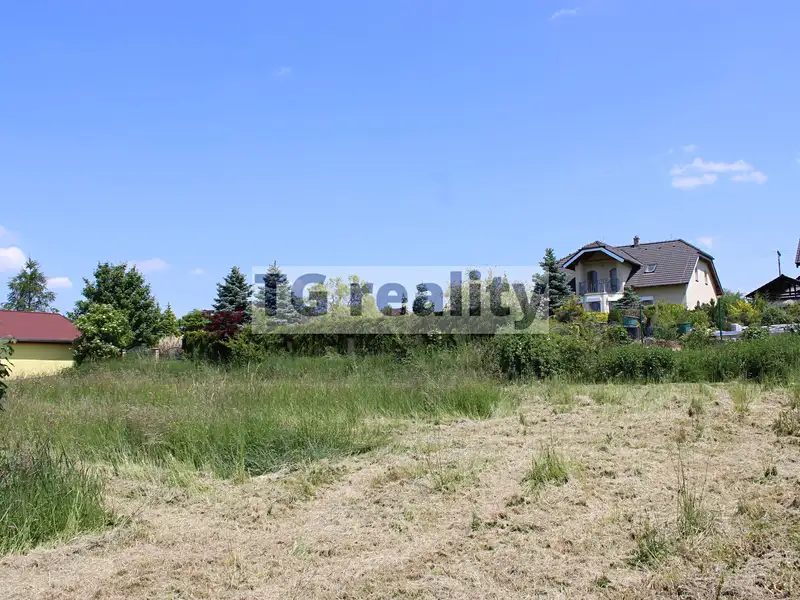 Prodej louky 1330 m², Srubec – náhled fotky 2