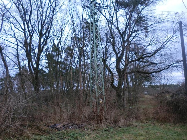Grundstück zum Kauf, 4.820 m² (2 von 4)