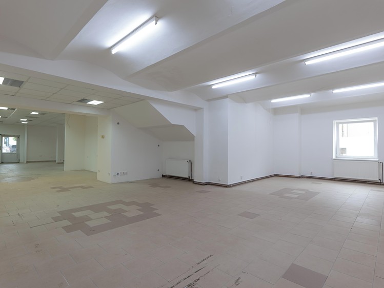 Gewerbefläche zum Kauf, 1.250 m² (22 von 24)