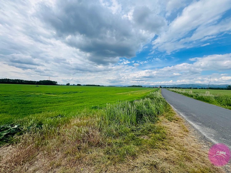 Ділянка на продаж, 29 280 м² (4 з 7)