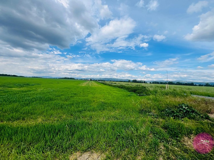Ділянка на продаж, 29 280 м² (3 з 7)
