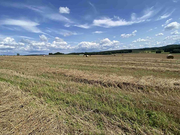 Grundstück zum Kauf, 55.481 m² (23 von 30)