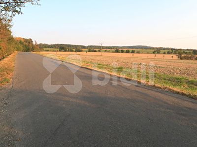 Prodej pole 3030 m²