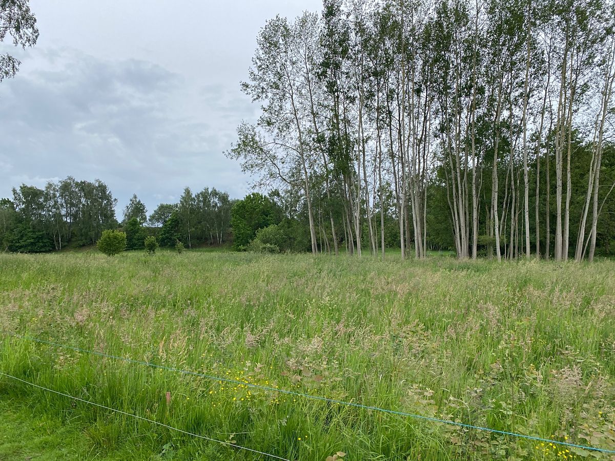 Prodej stavebního pozemku 1344 m²