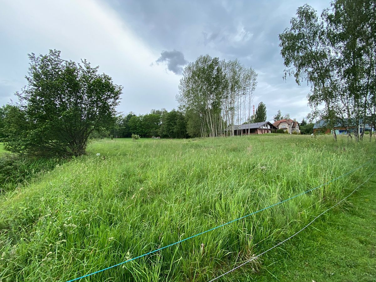 Prodej stavebního pozemku 1344 m² – fotografie 3