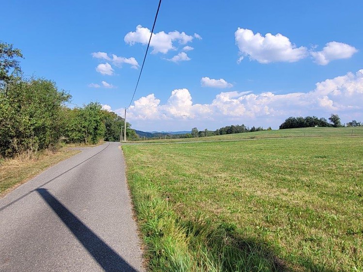 Prodej pozemku, 2 469 m² (12 z 16)