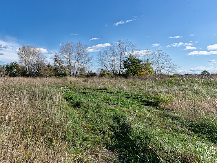 Prodej pozemku, 1 347 m² (6 z 7)