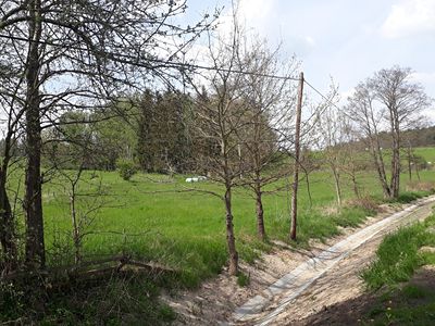 Prodej louky 5828 m²