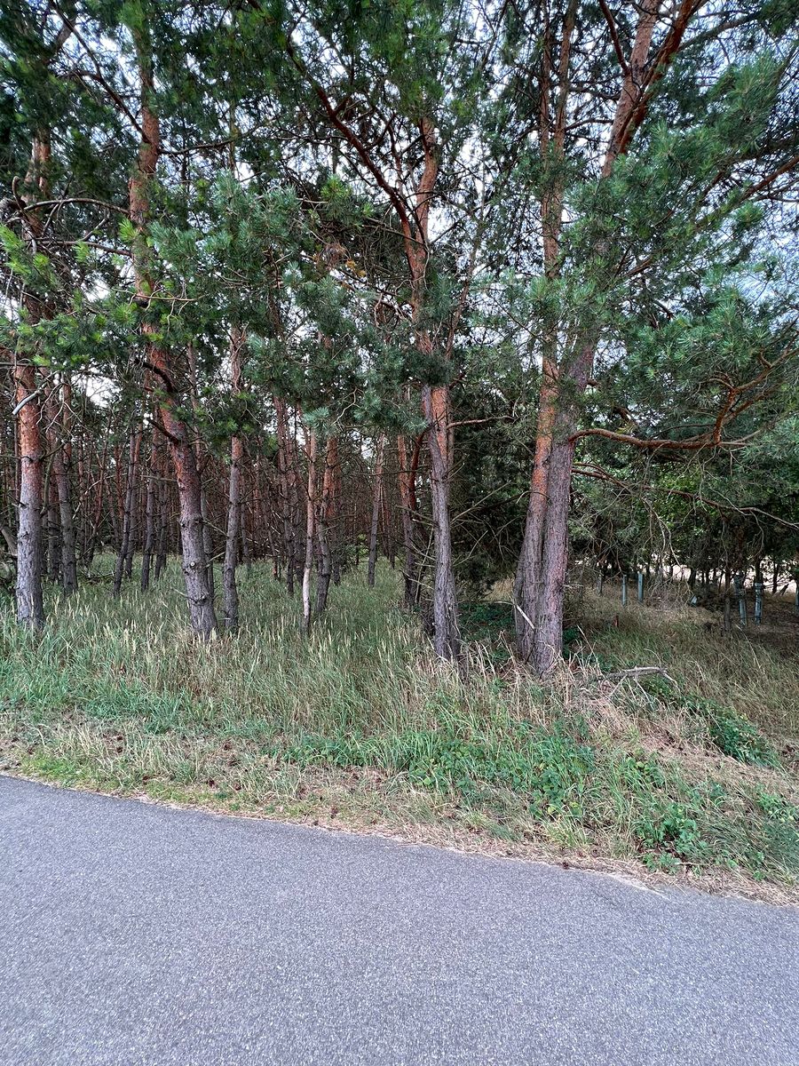 Prodej pozemku 1989 m²