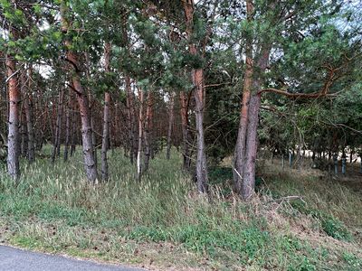 Prodej pozemku 1989 m²
