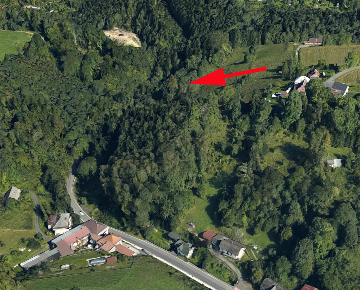 Prodej lesa 987 m²