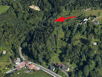Prodej lesa 987 m²
