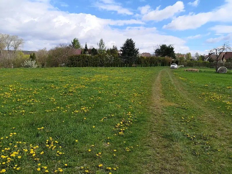 Prodej komerčního pozemku 10000 m², Radomyšl – náhled fotky 3