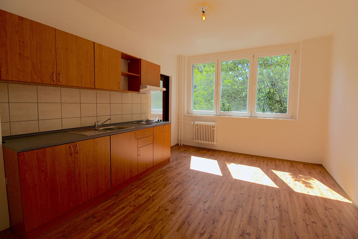 Pronájem bytu 2+kk 45 m²