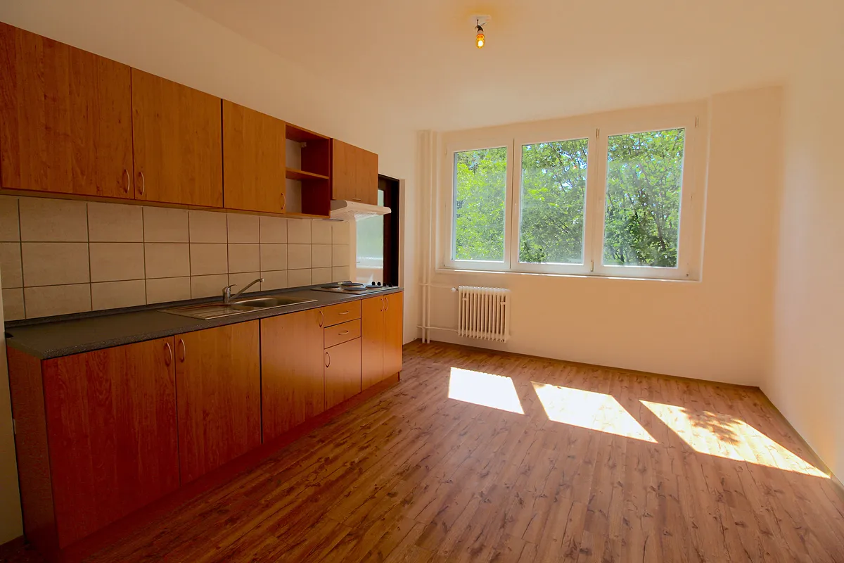 Pronájem bytu 2+kk 45 m²