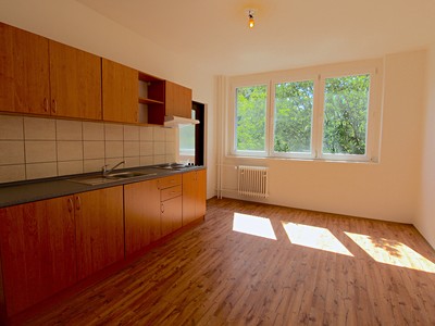 Pronájem bytu 1+1 45 m²