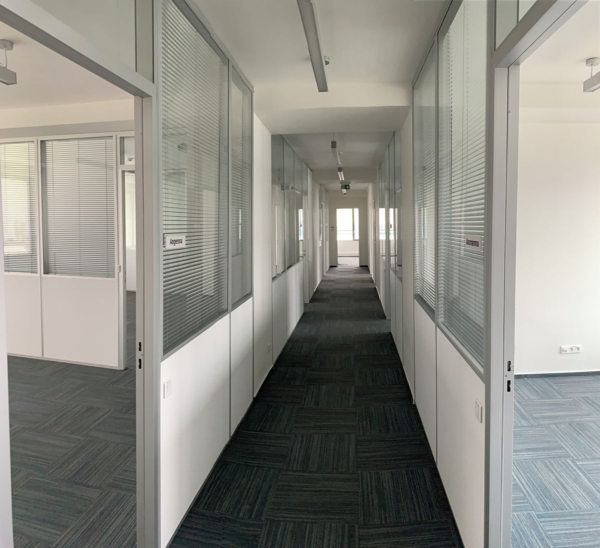 Pronájem kanceláře 397 m² – fotografie 5