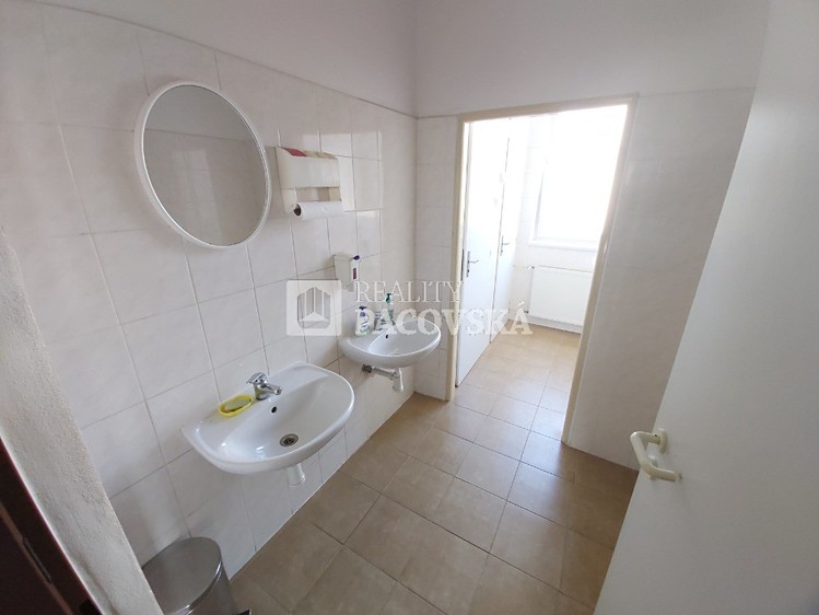 Pronájem komerčního prostoru, 16 m² (9 z 14)