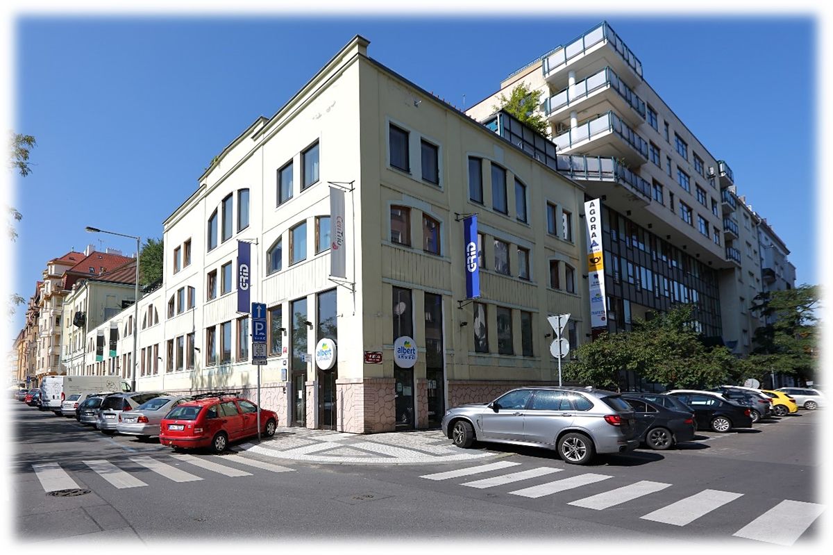 Pronájem obchodního prostoru 257 m² – fotografie 4