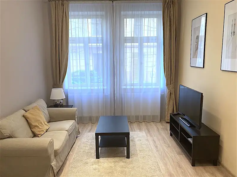 Pronájem bytu 1+1 40 m², Praha – náhled fotky 3