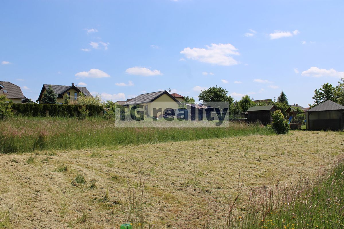 Prodej louky 1330 m², Srubec – fotka 1 z 3