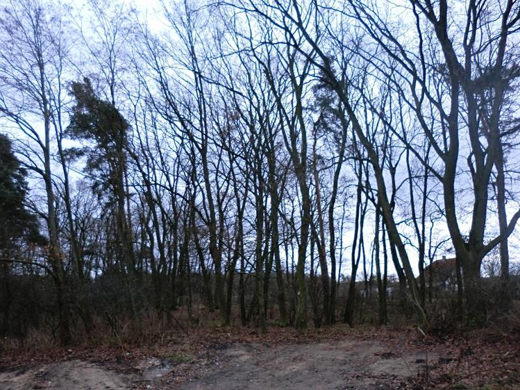 Grundstück zum Kauf, 4.820 m² (1 von 4)