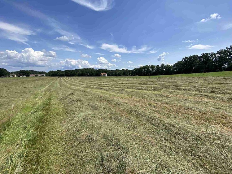 Grundstück zum Kauf, 55.481 m² (14 von 30)