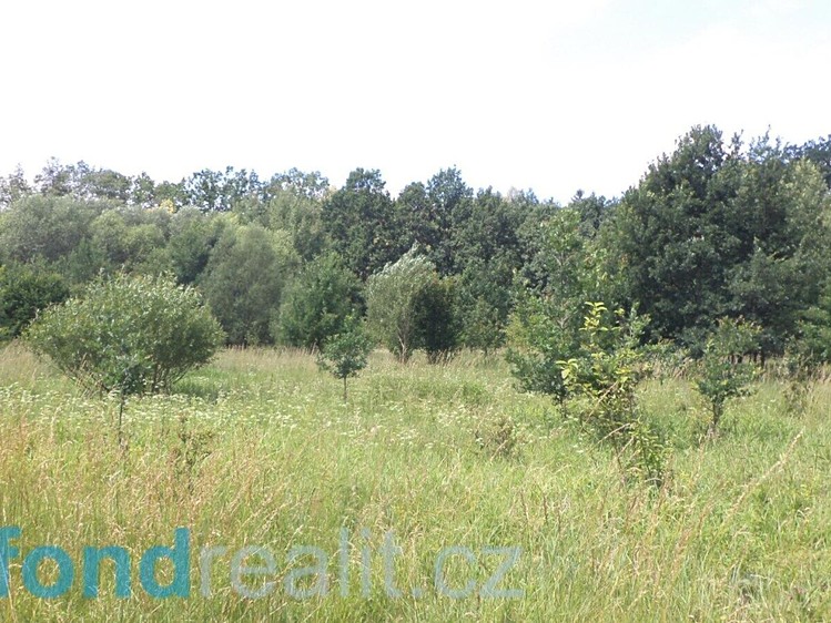 Grundstück zum Kauf, 12.879 m² (2 von 6)