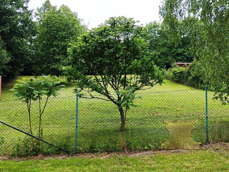 Grundstück zum Kauf, 1.438 m² (17 von 17)