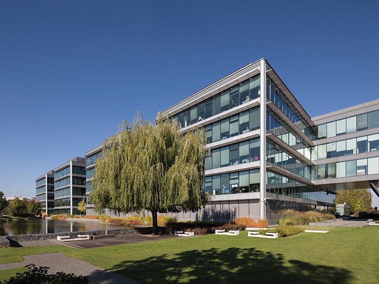 Gewerbefläche zur Miete, 950 m² (3 von 12)