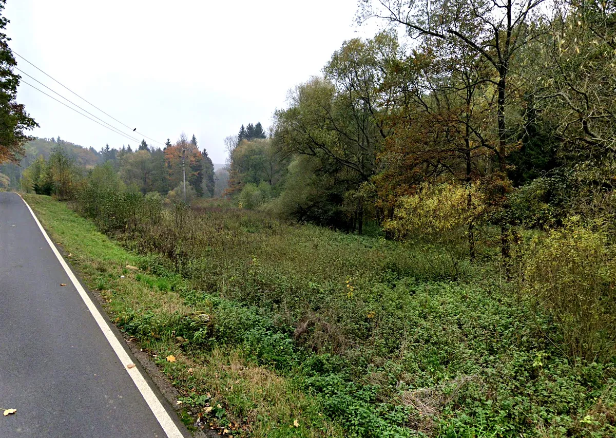 Prodej louky 1668 m²