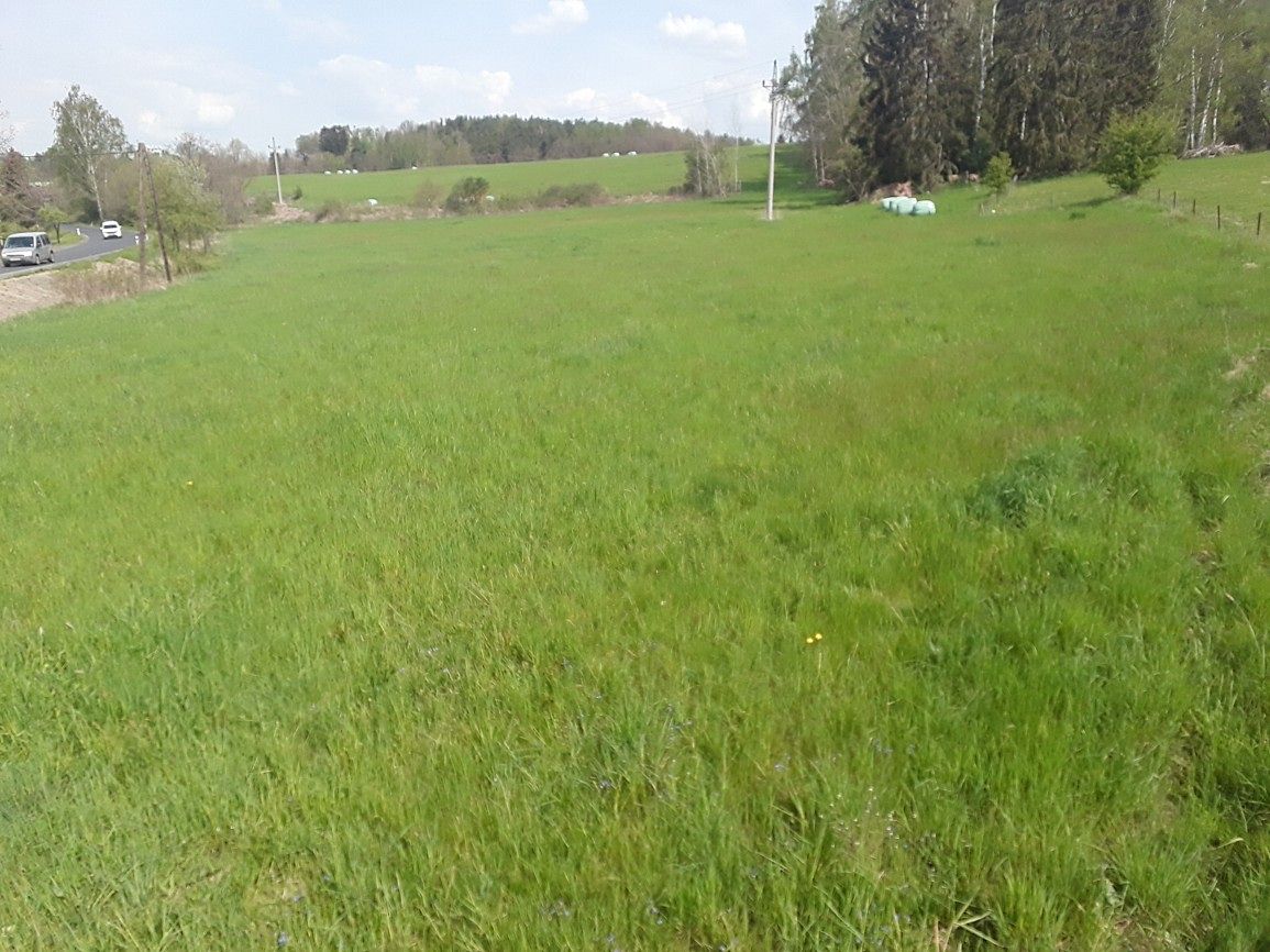 Prodej louky 5828 m² – fotografie 3
