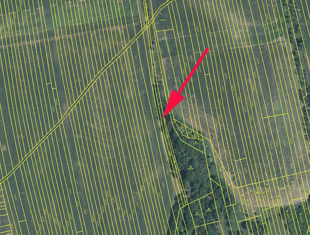 Prodej pole 1981 m² – fotografie 2