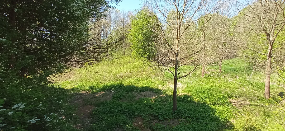 Fotka 13 z 30