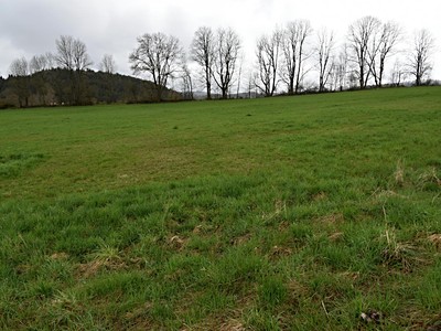Prodej pozemku, 5 761 m² (3 z 9)