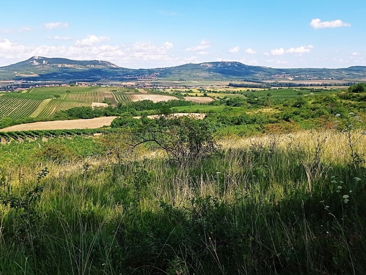 Ostatní