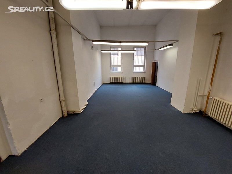 Pronájem obchodního prostoru 281 m² – pohled 4