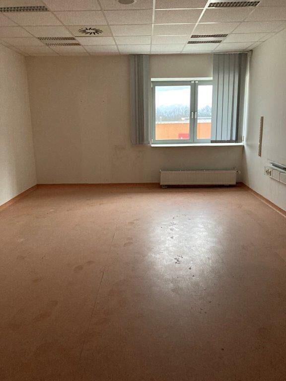 Pronájem obchodního prostoru 515 m² – fotografie 3