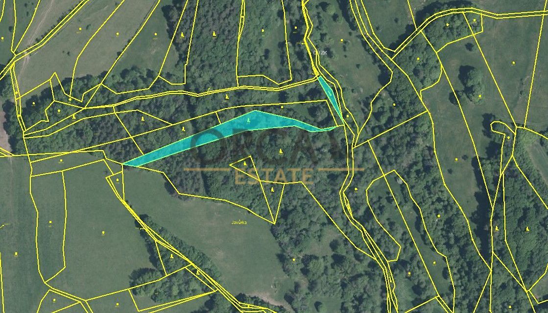 Prodej lesa 9893 m², Pozlovice – fotka 1 z 3