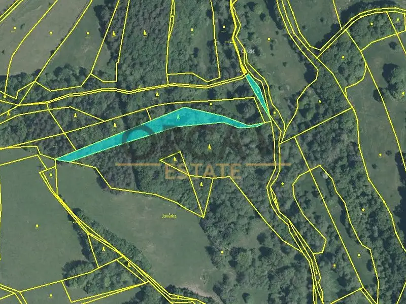 Prodej lesa 9893 m², Pozlovice – náhled fotky 1