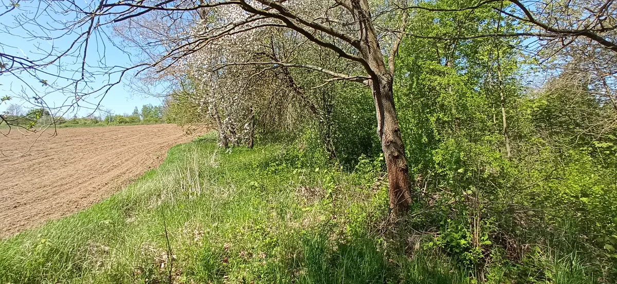 Fotka 16 z 30