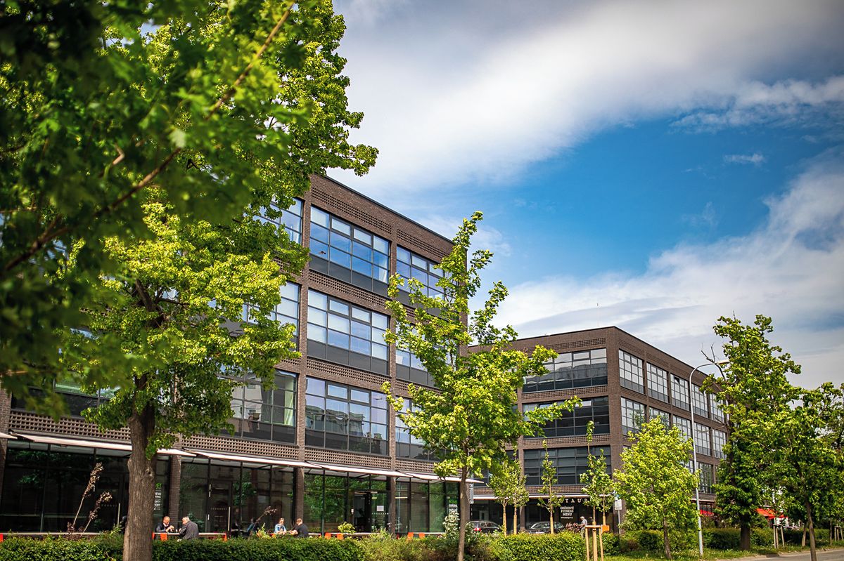 Pronájem kanceláře 1233 m²