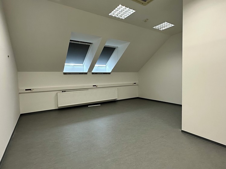 Gewerbefläche zur Miete, 552 m² (11 von 12)