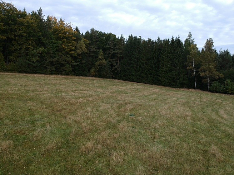 Prodej pozemku, 6 478 m² (5 z 7)